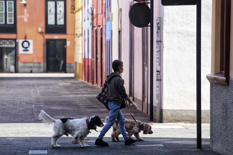 Paseo por La Laguna-Coronavirus | 06/04/2020  | 06/04/2020 | Fotógrafo: María Pisaca Gámez