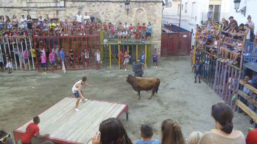 Muere un astado en los festejos de bous al carrer en Algar de Palancia