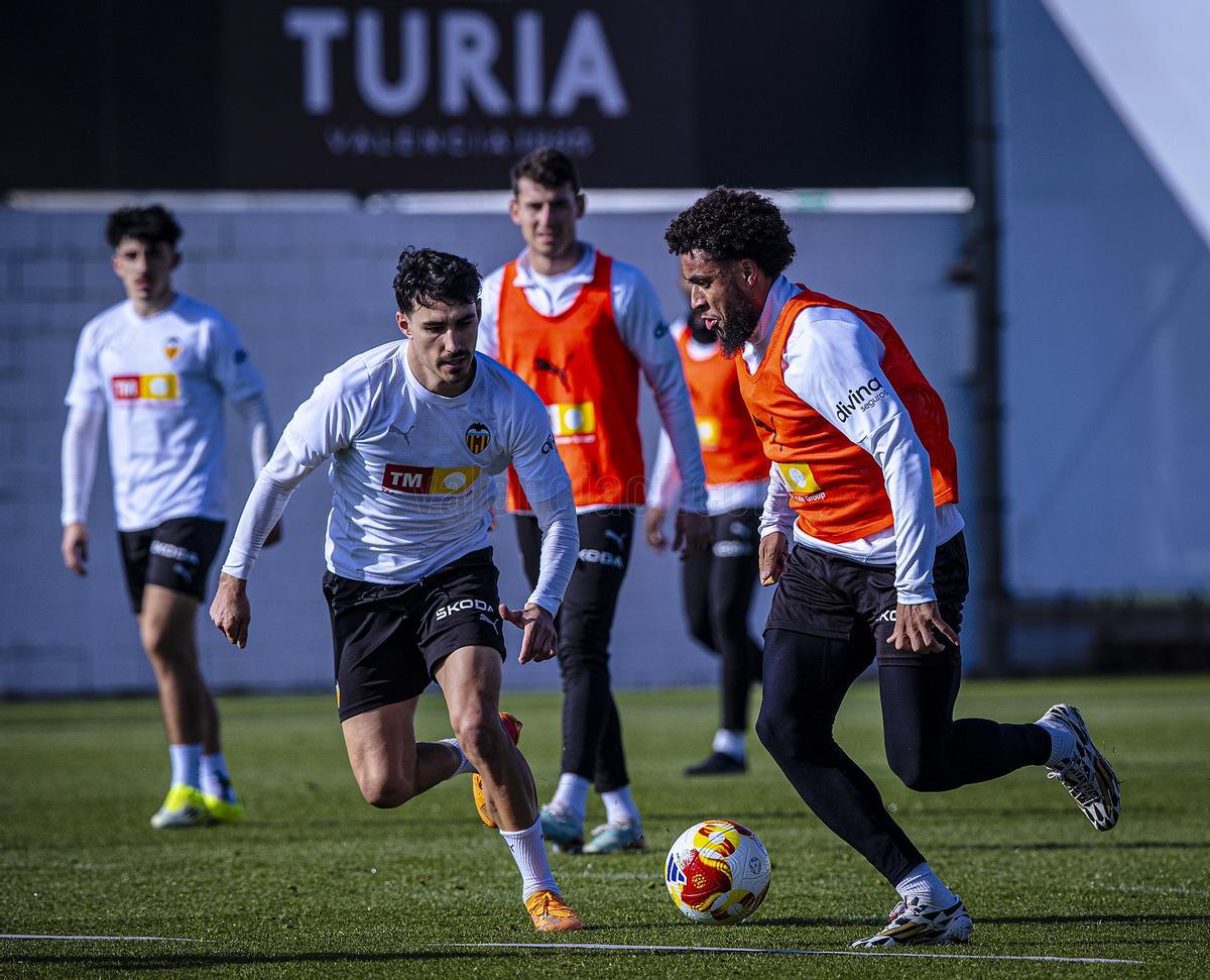 Entrenamiento del VCF