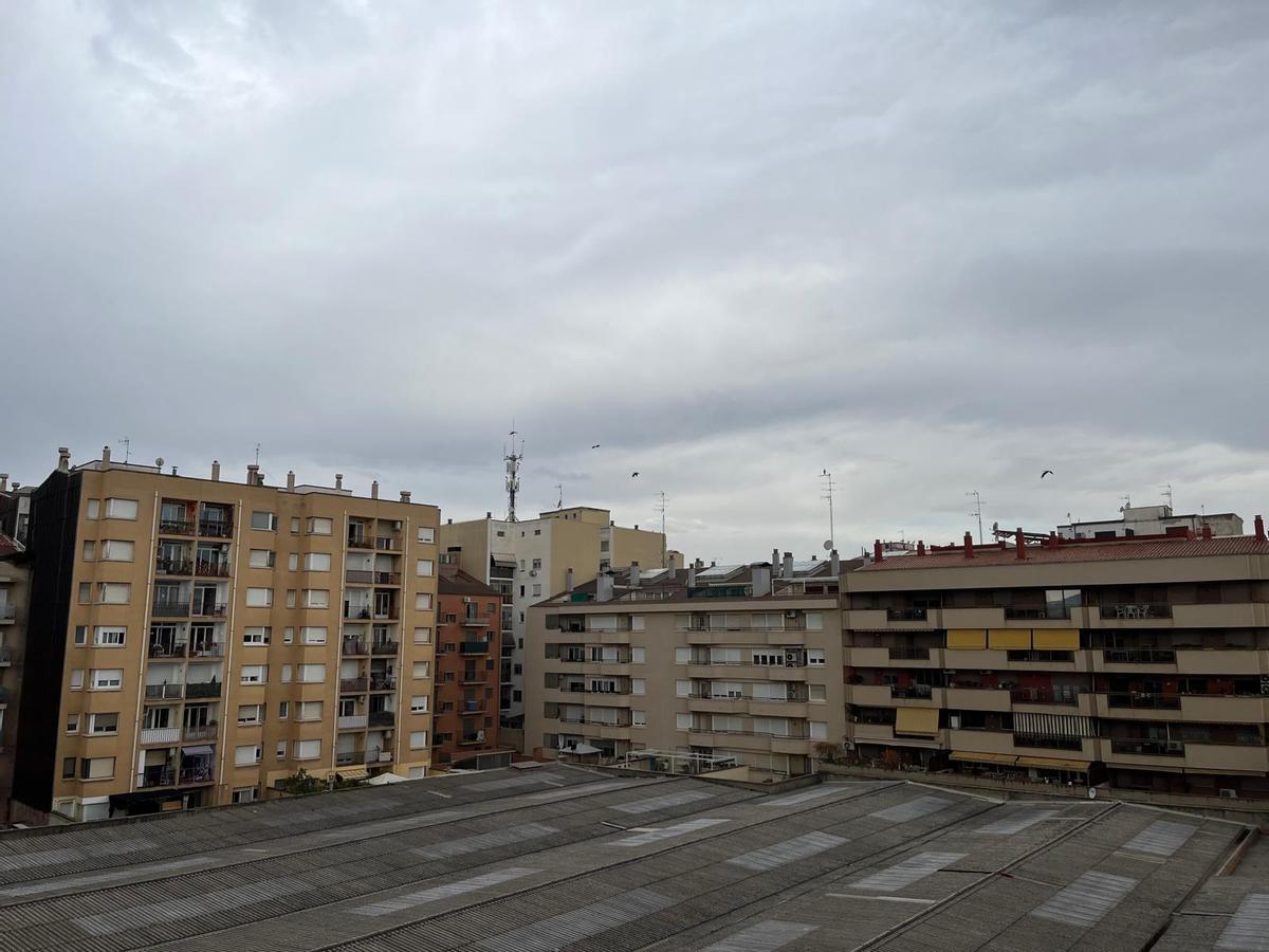 Un estol de cigonyes per Manresa Un estol de cigonyes per Manresa