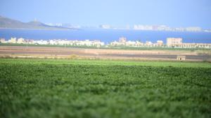 Regadíos frente al Mar Menor.