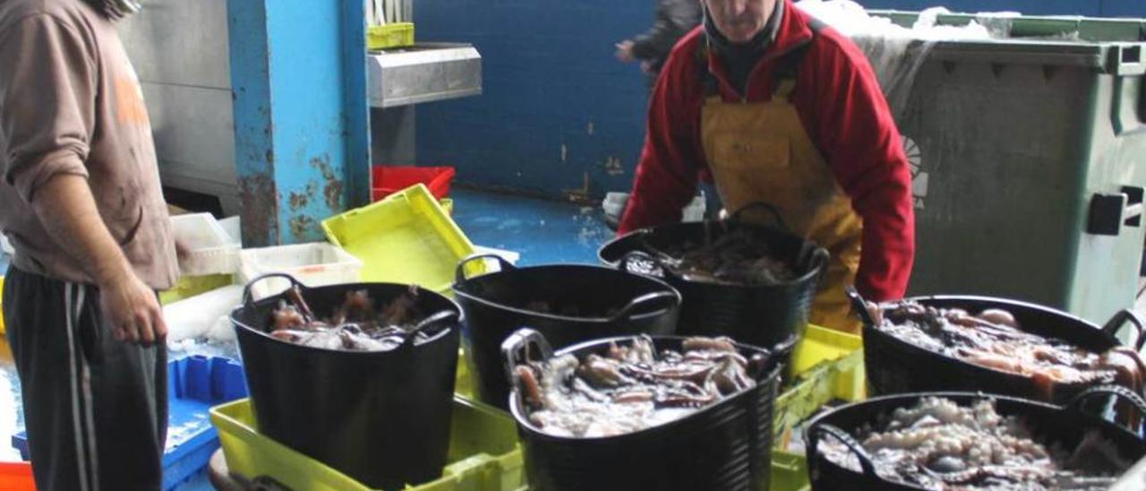 Jonathan Quintana y su padre Enrique, ayer, descargando pulpo en la rula de Luarca.