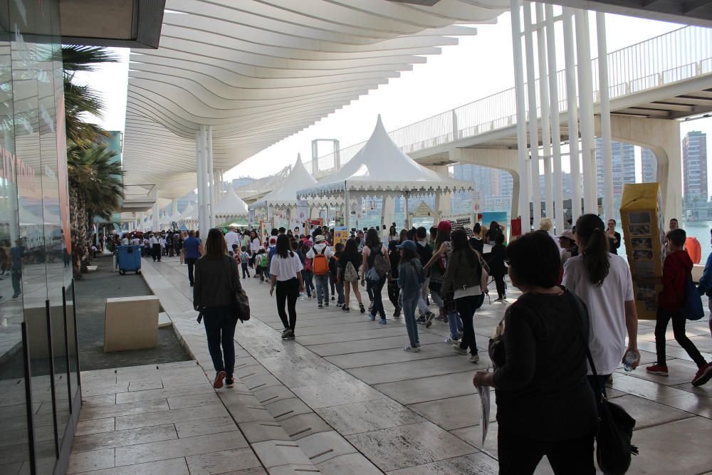 En la muestra participan más de 3.000 alumnos y 400 docentes de 85 centros de la provincia, en el Palmeral de las Sorpresas