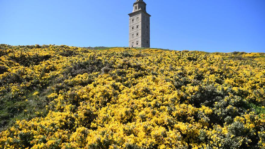 A Coruña inicia la segunda semana de mayo con tiempo soleado y aire cálido