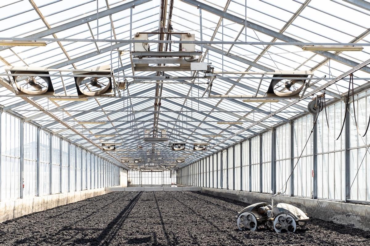 Interior de la planta d’assecat solar.