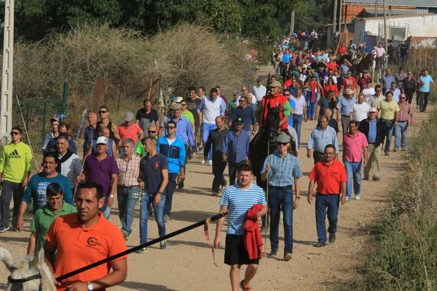 Encierro taurino en San Miguel de la Ribera