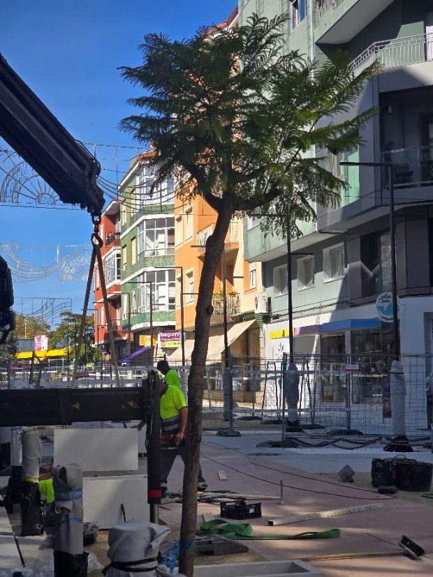 La calle de Clara Campoamor, antes Conde Vallelano, afronta la instalación de mobiliario y la plantación de jacarandas.