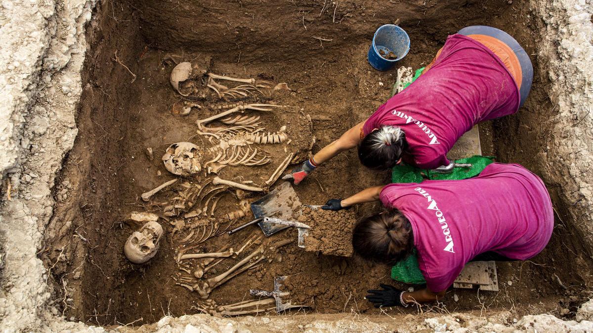 Trabajos de exhumación de varias víctimas del franquismo.