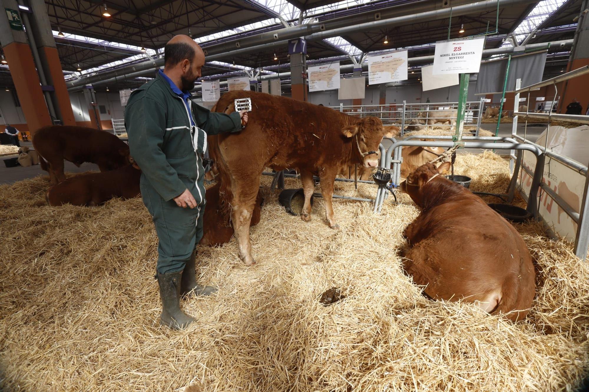 Figan abre sus puertas en la Feria de Zaragoza con más de mil expositores