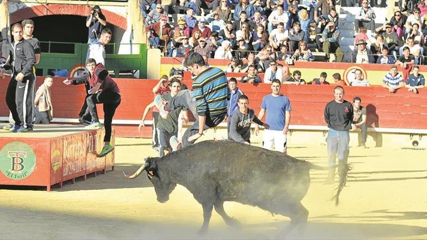 La Fira del Bou per la Vila atraerá a miles de aficionados con encierros y concursos