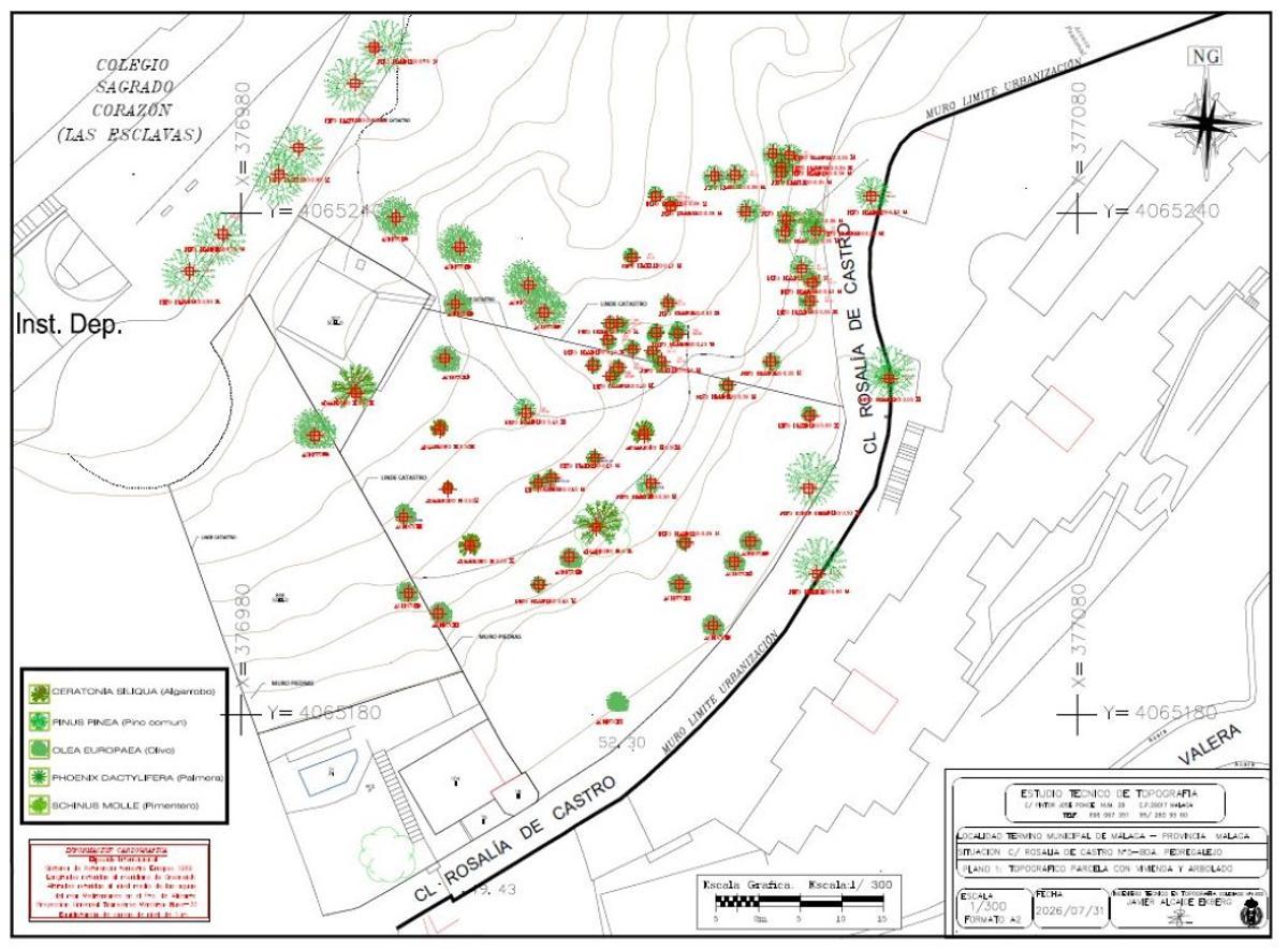 Plano topográfico presentado por los vecinos y Almijara, con más árboles que los que presentó la promotora, defienden.