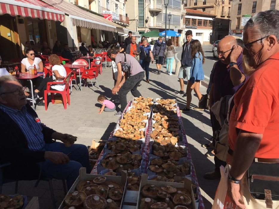 29a edició de la Fira del Bolet i el Boletaire de