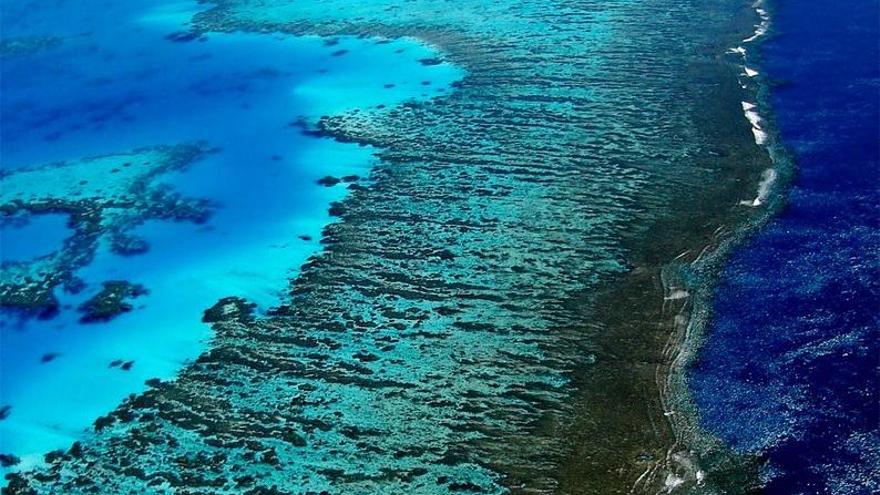 Gran Barrera de Coral.