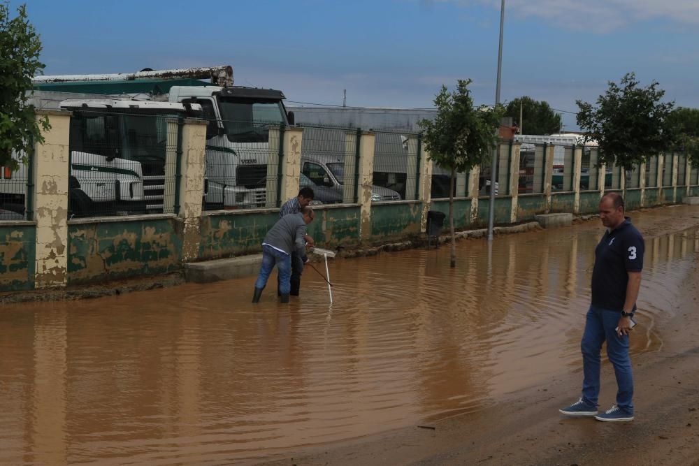 Las imágenes de Roales del Pan, el día después de la tormenta