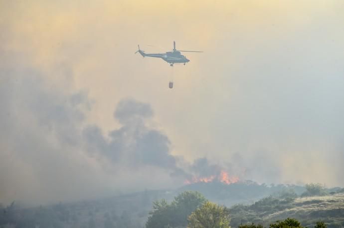 Incendio en la zona de cumbre de Gran Canaria