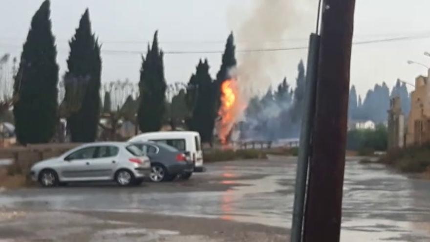 Un ciprés arde tras la caída de un rayo en Nules