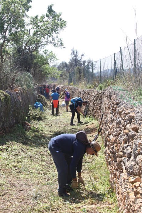 Puig d'en Valls recupera un camino histórico