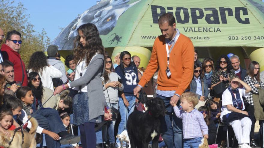 Planes con los niños en Pascua