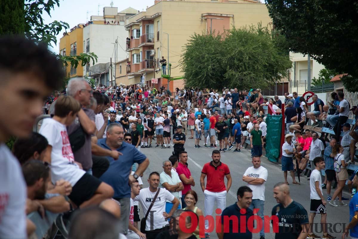 Primer encierro de la Feria del Arroz de Calasparra