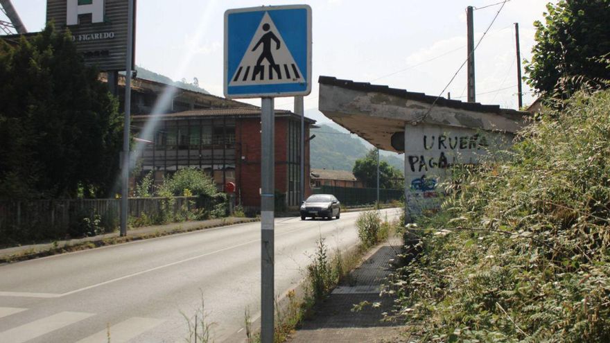 Maleza en la carretera de Turón, a la altura del pozo Figaredo. | A. VELASCO