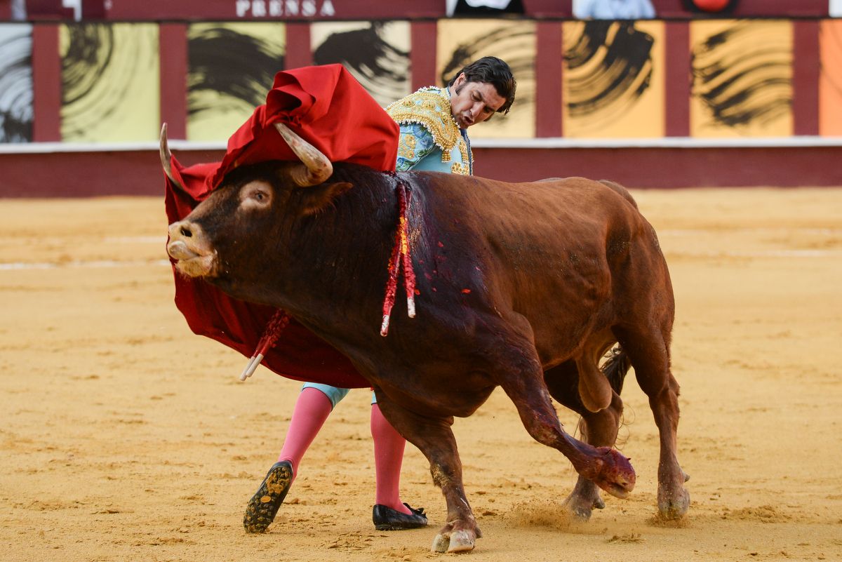 Los toros vuelven a La Malagueta