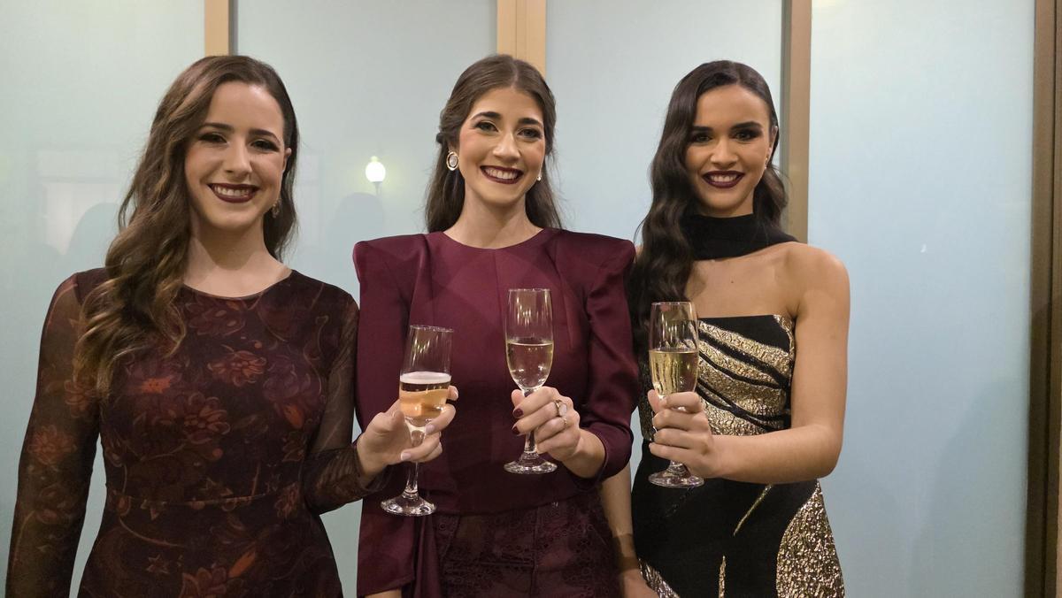 Brindis de Navidad con las comisiones