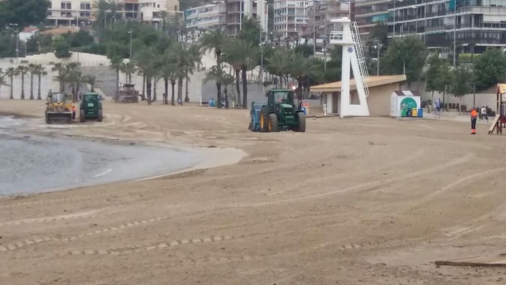 El Ayuntamiento trabaja desde primera hora de la mañana del sábado para adecentar la Albufereta, partida en dos.