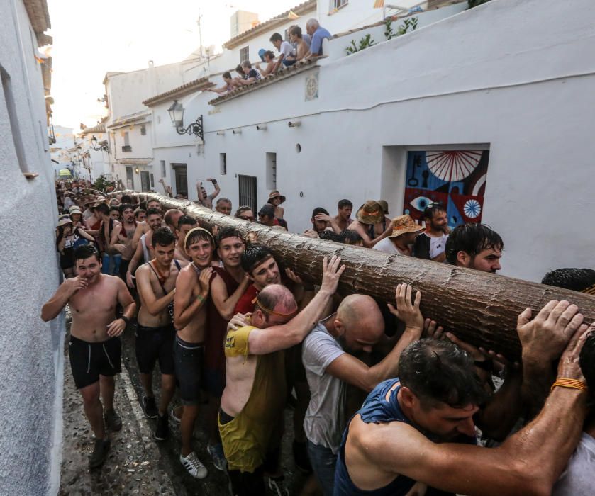 La «Plantà de l'Arbret», un rito ancestral