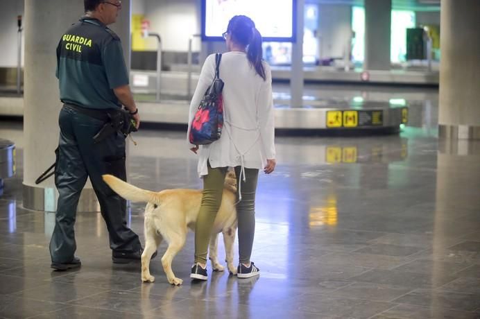 REPORTAJE UNIDAD CANINA AEROPUETO DE GRAN CANARIA