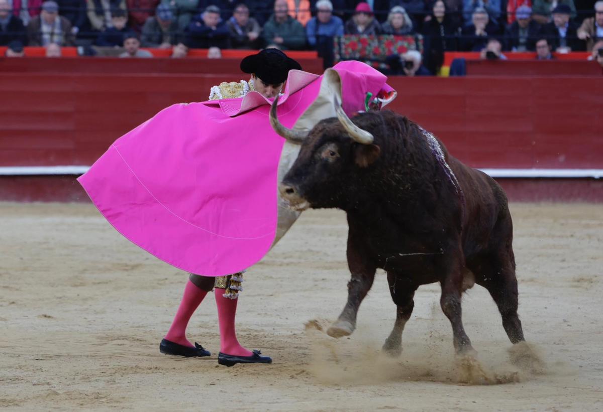 El gran quite Juan Ortega, por geniales tafalleras