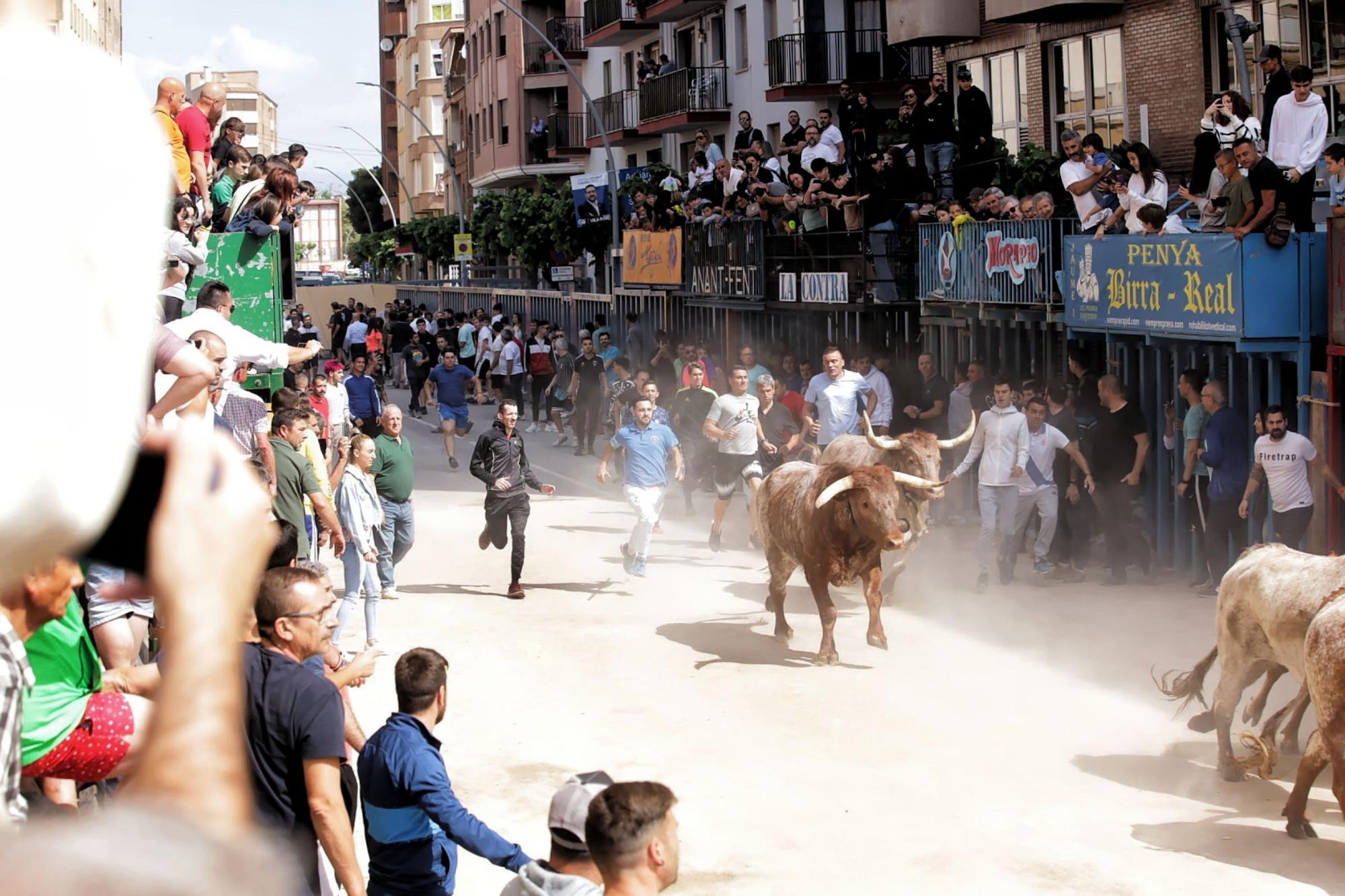 Las imágenes de la séptima jornada de las fiestas de Sant Pasqual del 2023 en Vila-real