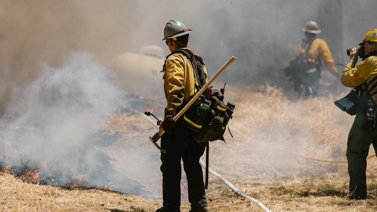 España acumula el 38,5 % de toda la superficie forestal que ha ardido en Europa este año