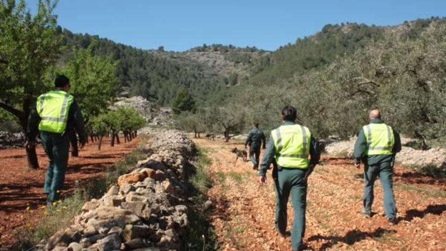 La Guardia Civil con los perros en una de las partidas de Benissa.