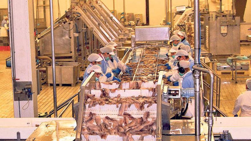 Un grupo de trabajadoras manipula cefalópodo en las instalaciones marinenses de Marfrío.  // G. Santos