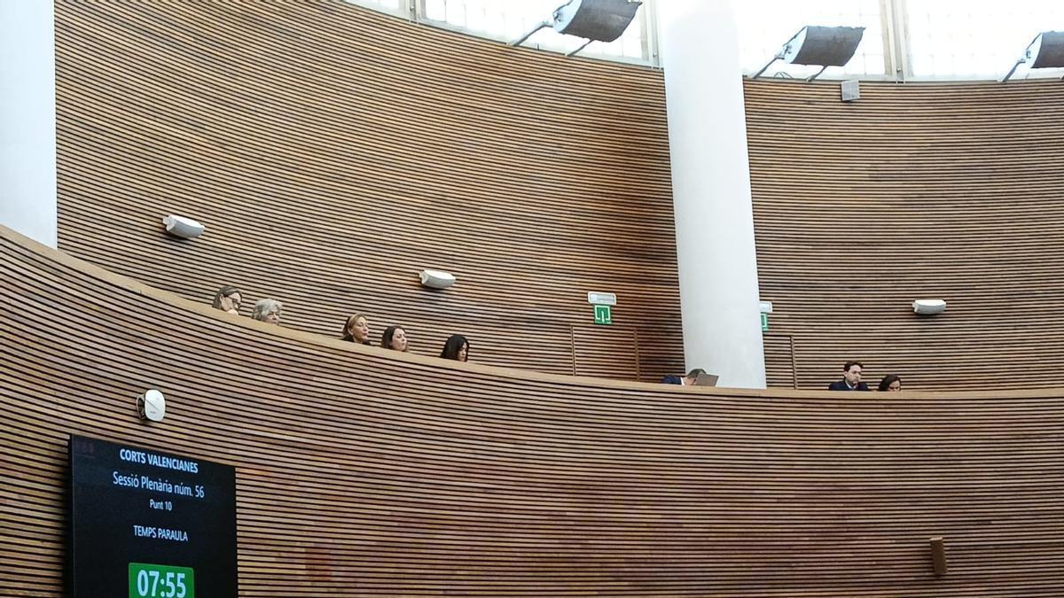 Las asociaciones de víctimas de la dana, presentes en el pleno de las Corts.