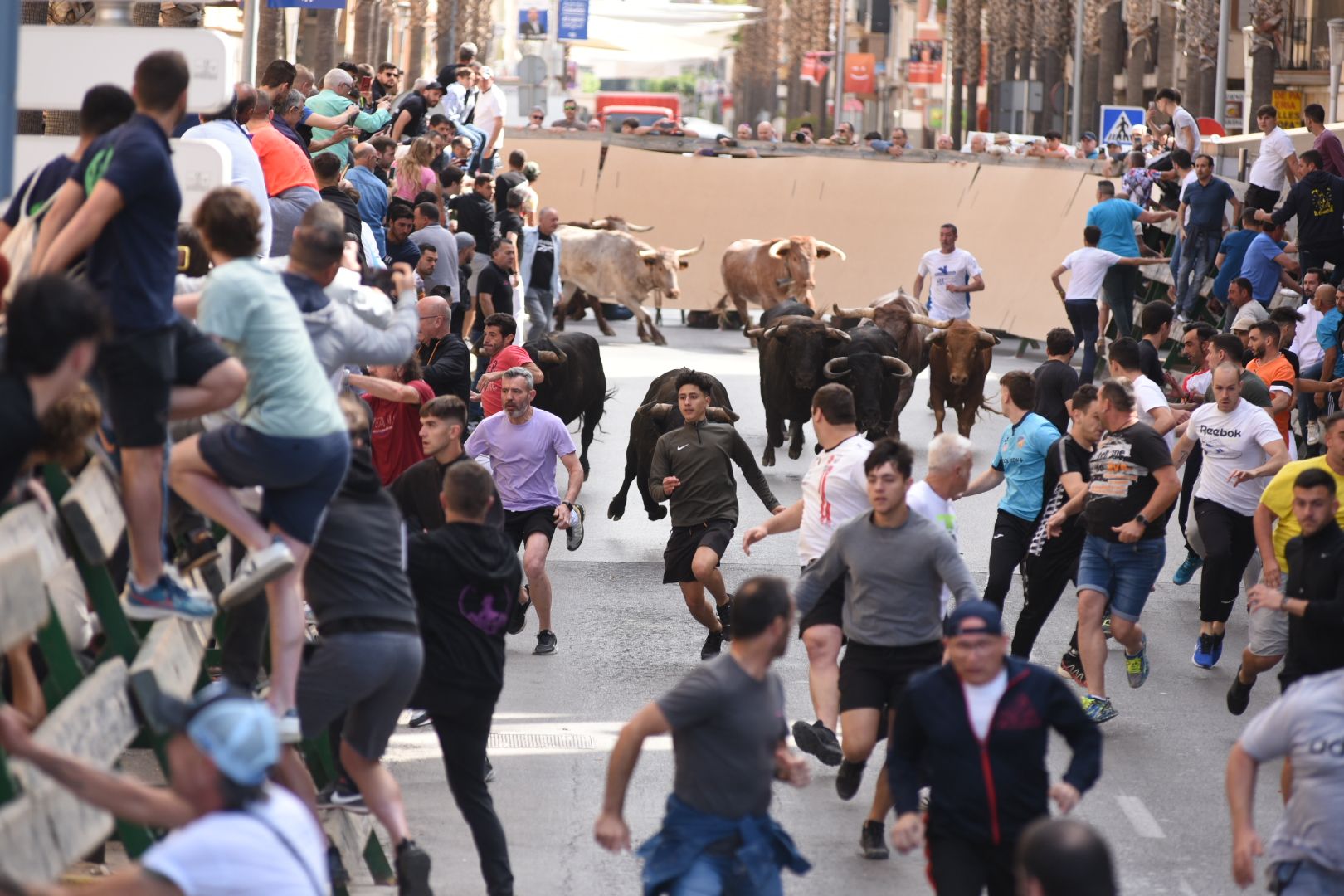 Las imágenes de la séptima jornada de las fiestas de Sant Pasqual del 2023 en Vila-real