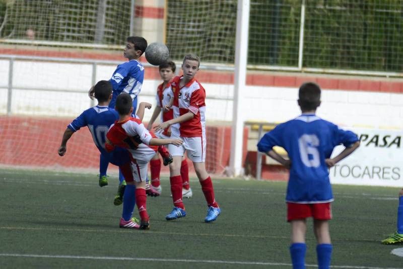 FÚTBOL: Hernán Cortés - San Gregorio (1ª Alevín grupo 2)