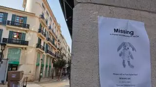 Carteles en Palma para encontrar un conejo de peluche perdido