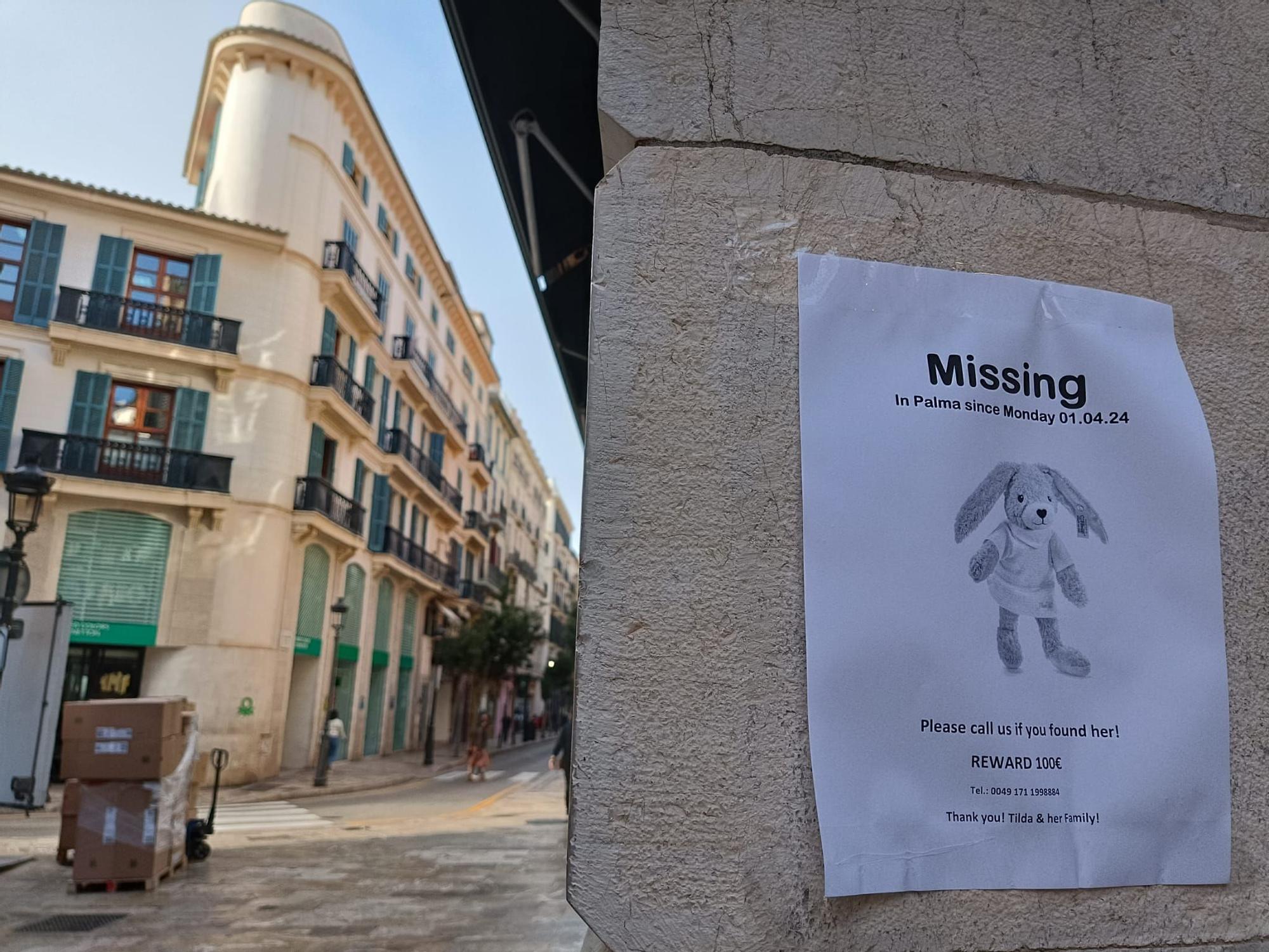 Carteles en Palma para encontrar un conejo de peluche perdido