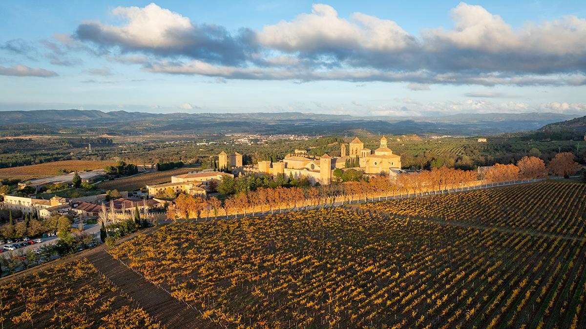 El monasterio de Poblet rodeado de viñedos, uno de los paisajes históricos del interior de Cataluña.