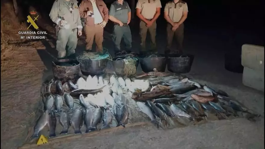 Vídeo | Cuatro investigados por pesca furtiva en Doñana tras intervenir 500 kilos de captura ilegal