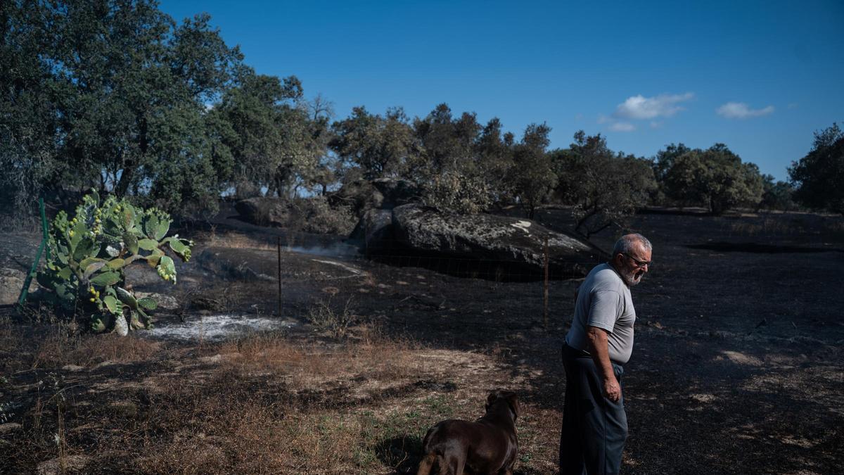 Video | Las Viñas de Arroyo de la Luz, un día después del fuego