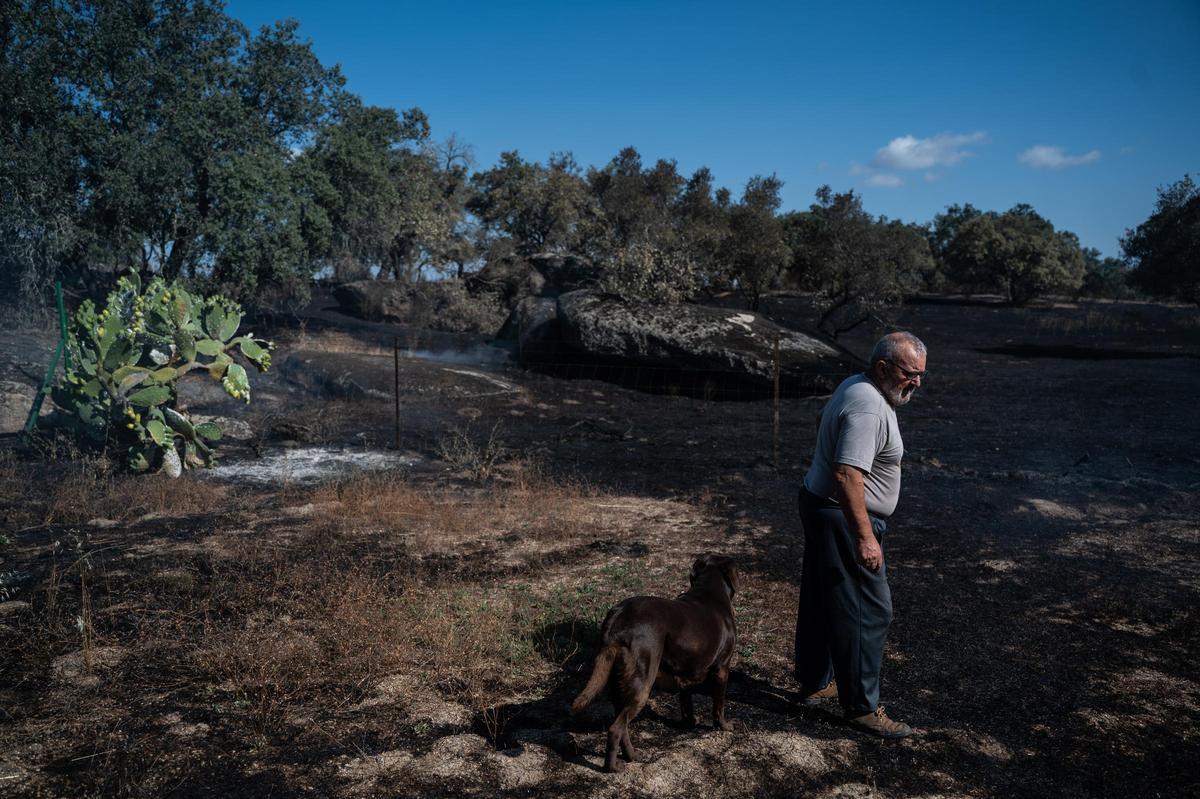 Galería | Las Viñas de Arroyo de la Luz, el día después del incendio Galería | Las Viñas de Arroyo de la Luz, el día después del incendio