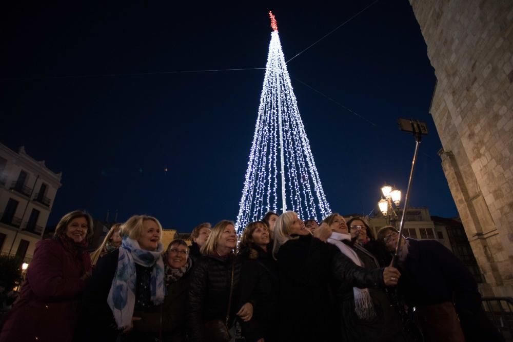 Encendido luces de Navidad