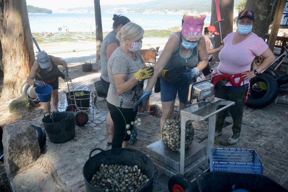 El marisqueo regresa a la ría de Pontevedra tras cuatro meses de parón