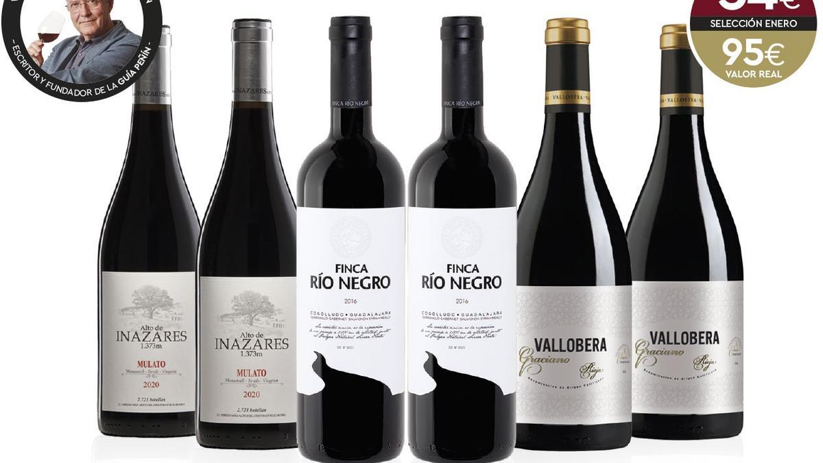 seleccion vinos de altura enero casagourmet