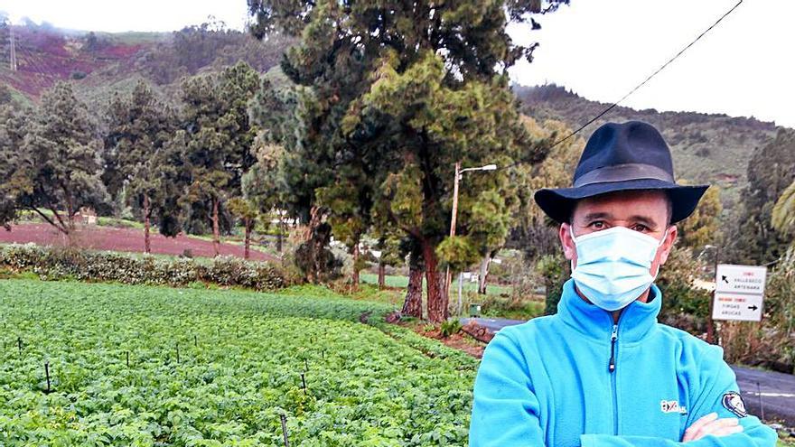 Francisco Domínguez junto al cercado de papas , ayer, en Teror.