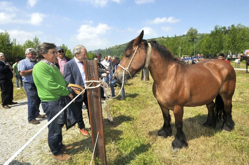 Feria de La Ascensión