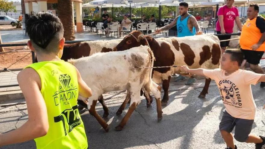 Los 'bous al carrer' seguirán vetados para los menores de 16 años con el nuevo reglamento