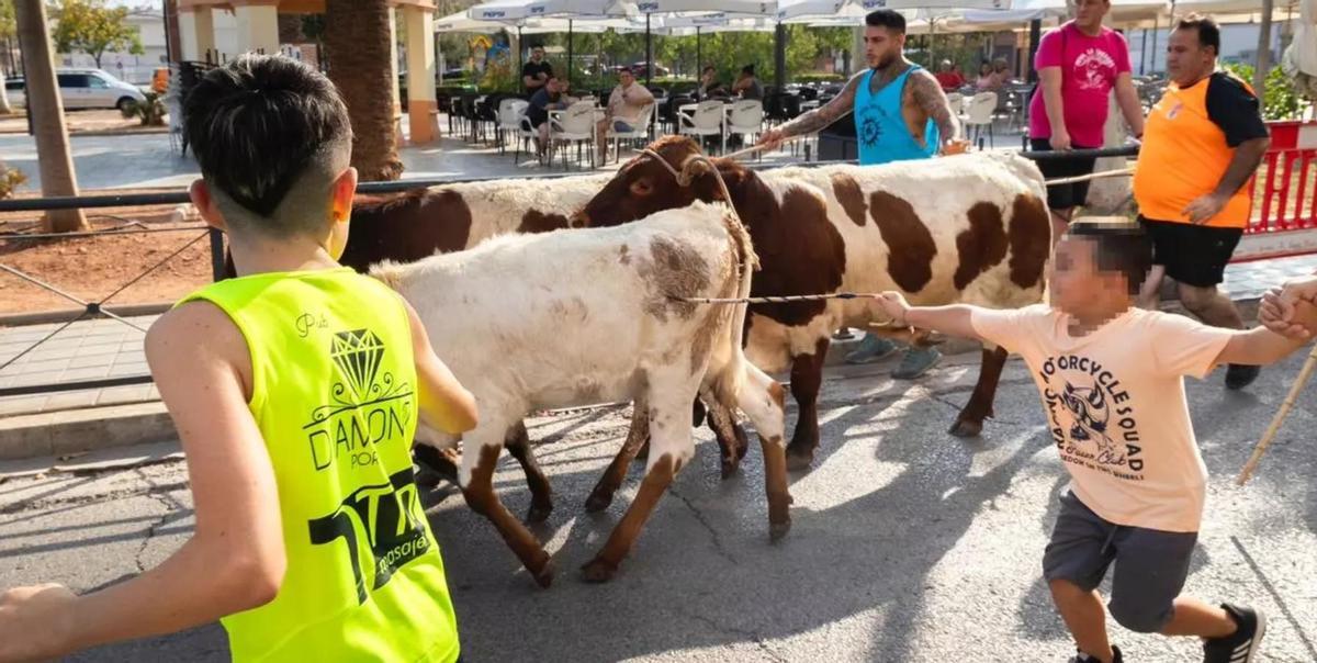 Imagen de un acto de trashumancia con menores en el Port de Sagunt el pasado verano.